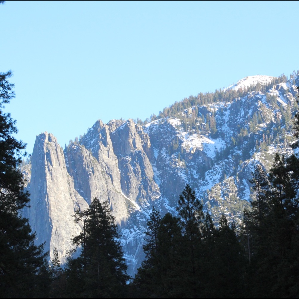 Meet your Posher, Destanie